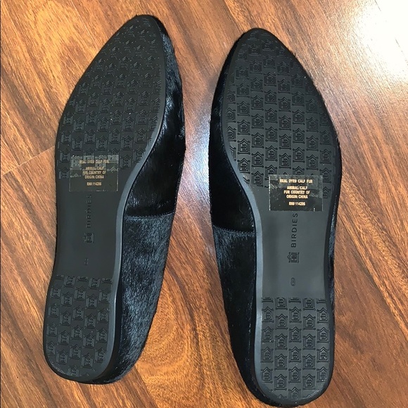 Birdies The Blackbird - Picture 3 of 6